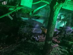 -惠州科技馆