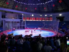 -西安秦岭野生动物园