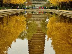 -玲珑塔公园