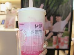 -树夏(锦里店)