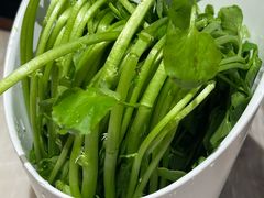-同仁四季椰子鸡(福田东园总店)