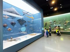 -国家自然博物馆