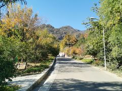 -北京鹫峰国家森林公园