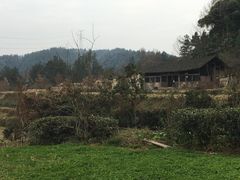 -唐崖土司城遗址