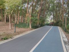 -新洲生态园