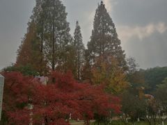 -白马涧龙池景区