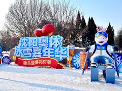 -沈阳奥体冰雪嘉年华