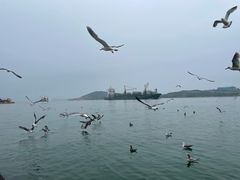-海驴岛(荣成市)