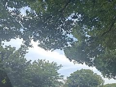 -同里国家湿地公园