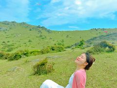 -大姆山草场