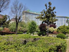 -南阳建业森林半岛假日酒店