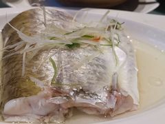 太湖白鱼-太湖饭店·寄畅轩中餐厅