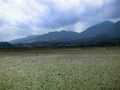 -腾冲北海湿地