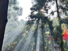 -旅马餐厅(茅家埠店)