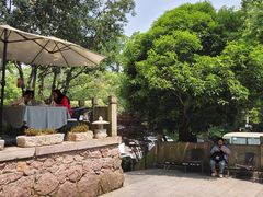 -龙井壹号·茶缘山景宴(龙井村店)