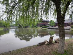 -堤角公园