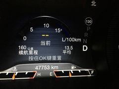 -中国石油加油站(严桥路站)