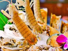 -金龙·打边炉(南京西路店)