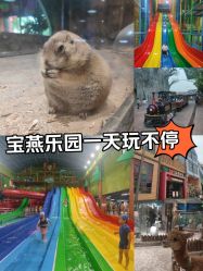 -宝燕乐园(闵行旗舰店)