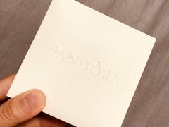 -Pandora潘多拉珠宝(宝山万达广场店)