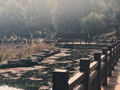 -潜山国家森林公园