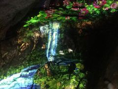 -灵栖洞天