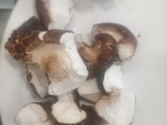 -草原传奇鲜羊火锅(桥北店)