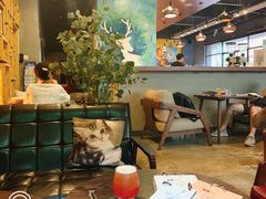 -咖法森林·咖啡  酒吧(天河店)