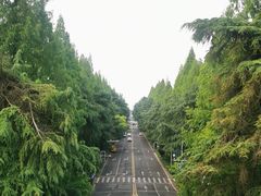 -明故宫遗址公园