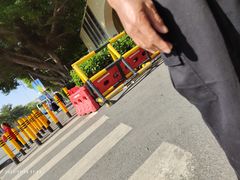 -深圳市中西医结合医院