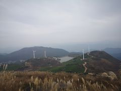 -东白山