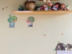 -东方名猫馆·英短金渐层布偶猫舍(环线广场1号楼店)