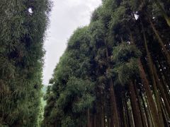 -太阳湾风景区