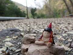 -雾灵西峰