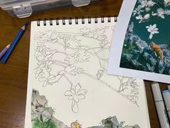 -青沐画室·专业美术培训
