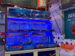 -小龍鳳·港式海鲜打边炉(沙湖路店)