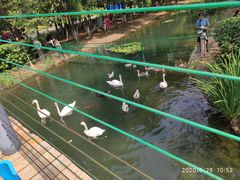 -长白岛森林公园