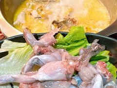 -鲜入围煮花胶鸡海鲜火锅