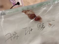 -宠爱国际动物医院· 猫科· 外科·中兽医(长白店)
