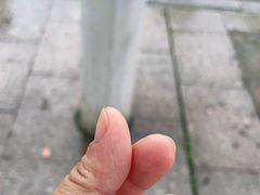 -椒王
