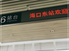 -海口东站