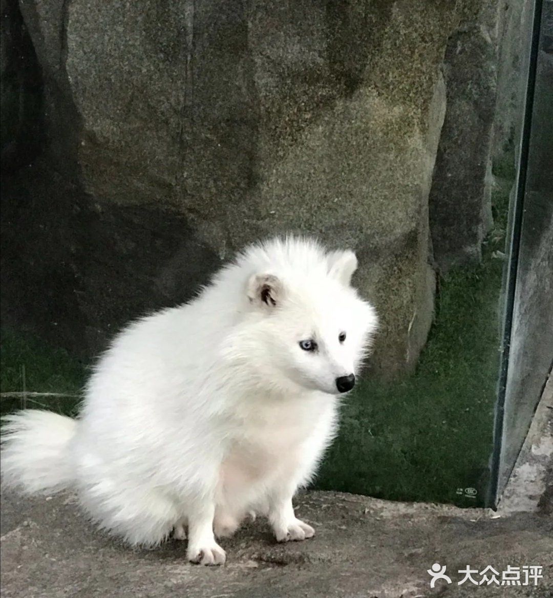 六一带娃👶必去胜地&萌宠乐园🐖