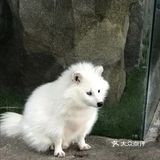六一带娃👶必去胜地&萌宠乐园🐖