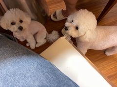 -仁信双皮奶(庙前直街店)