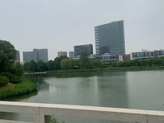 -大兴滨河森林公园