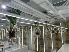 -% Arabica阿拉比卡咖啡(前滩太古里店)