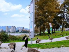 -固兰湖岛