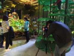 -恐龙探索乐园(磁器口店)