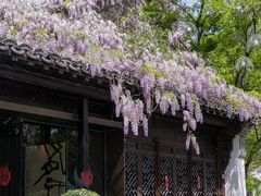 -老门东历史文化街区