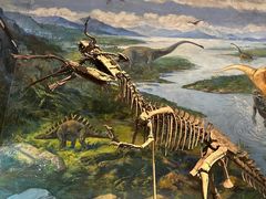 -自贡恐龙博物馆